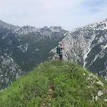 Stomici Nderlysaj