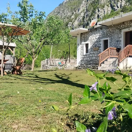 Stomici 3* Nderlysaj